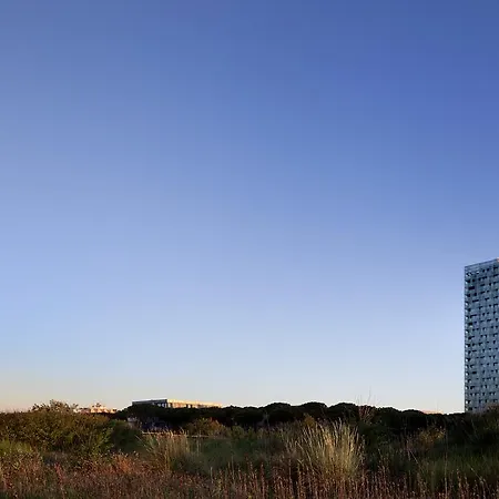 Apartment Merville-jesolo-18th Floor